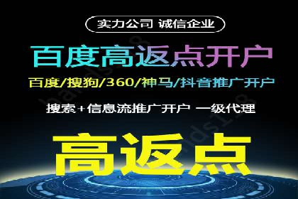 行业领先企业的关键词竞价排名实战案例